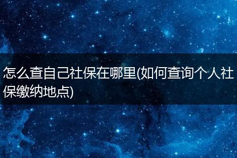 怎么查自己社保在哪里(如何查询个人社保缴纳地点)