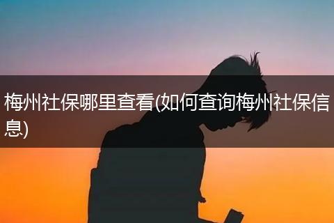 梅州社保哪里查看(如何查询梅州社保信息)
