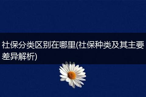 社保分类区别在哪里(社保种类及其主要差异解析)
