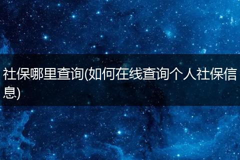 社保哪里查询(如何在线查询个人社保信息)