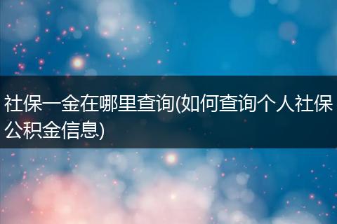 社保一金在哪里查询(如何查询个人社保公积金信息)