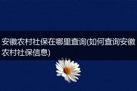 安徽农村社保在哪里查询(如何查询安徽农村社保信息)