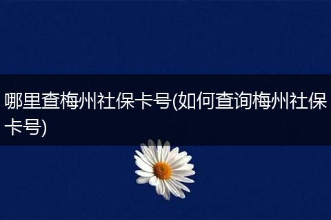 哪里查梅州社保卡号(如何查询梅州社保卡号)