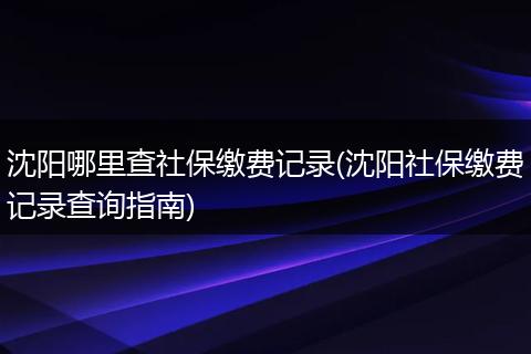 沈阳哪里查社保缴费记录(沈阳社保缴费记录查询指南)