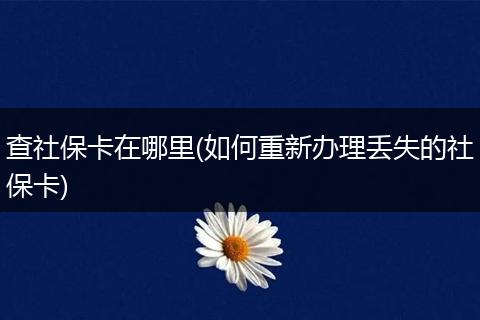 查社保卡在哪里(如何重新办理丢失的社保卡)