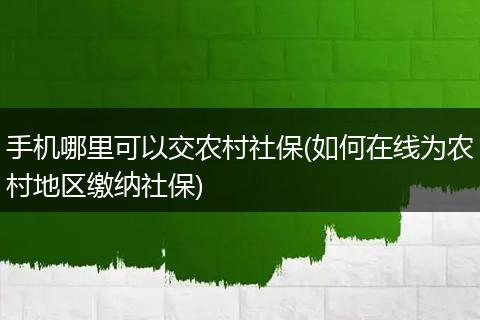 手机哪里可以交农村社保(如何在线为农村地区缴纳社保)