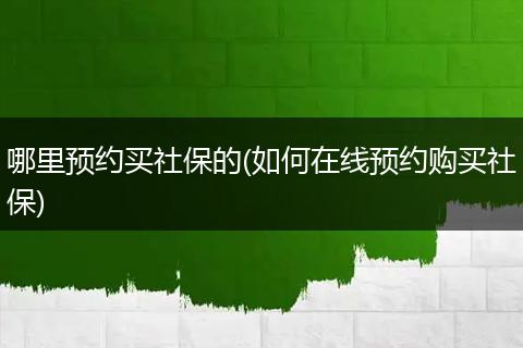 哪里预约买社保的(如何在线预约购买社保)