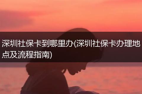 深圳社保卡到哪里办(深圳社保卡办理地点及流程指南)