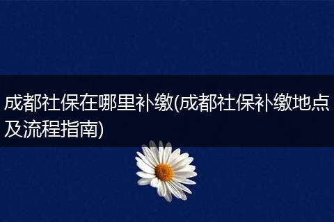 成都社保在哪里补缴(成都社保补缴地点及流程指南)