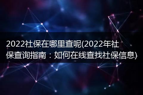 2022社保在哪里查呢(2022年社保查询指南：如何在线查找社保信息)