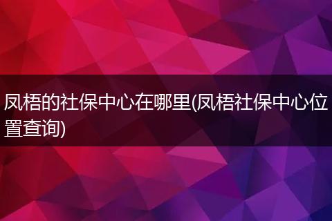 凤梧的社保中心在哪里(凤梧社保中心位置查询)