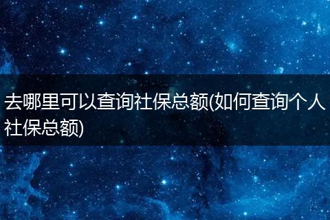 去哪里可以查询社保总额(如何查询个人社保总额)