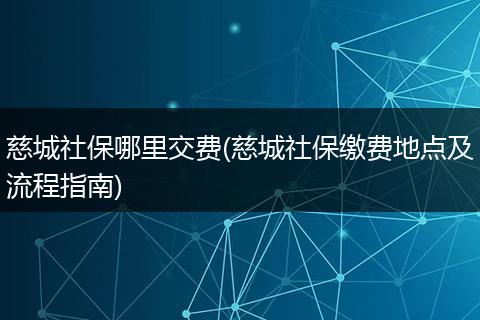 慈城社保哪里交费(慈城社保缴费地点及流程指南)