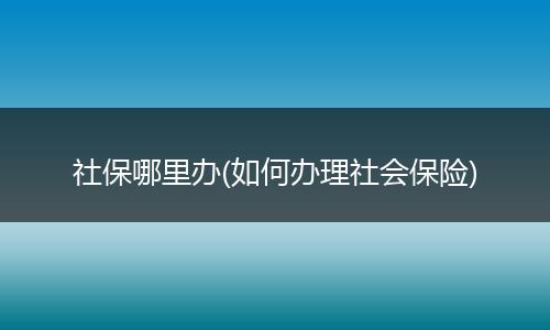 社保哪里办(如何办理社会保险)