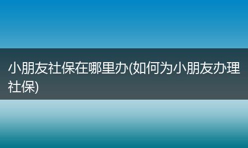小朋友社保在哪里办(如何为小朋友办理社保)