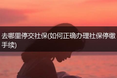 去哪里停交社保(如何正确办理社保停缴手续)