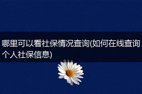 哪里可以看社保情况查询(如何在线查询个人社保信息)