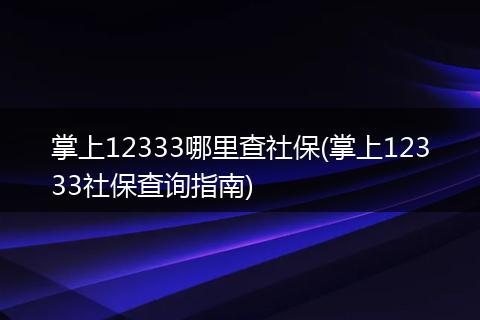掌上12333哪里查社保(掌上12333社保查询指南)