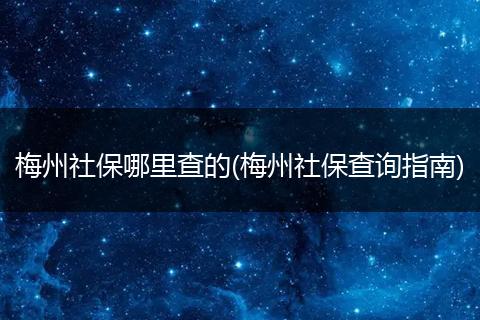 梅州社保哪里查的(梅州社保查询指南)