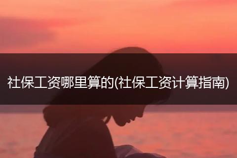 社保工资哪里算的(社保工资计算指南)