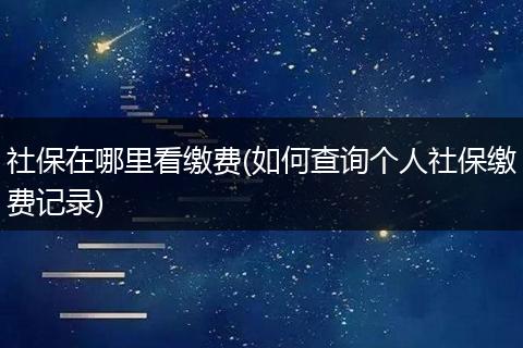 社保在哪里看缴费(如何查询个人社保缴费记录)
