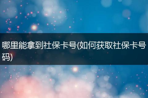 哪里能拿到社保卡号(如何获取社保卡号码)