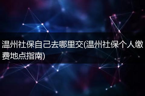 温州社保自己去哪里交(温州社保个人缴费地点指南)