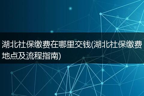 湖北社保缴费在哪里交钱(湖北社保缴费地点及流程指南)