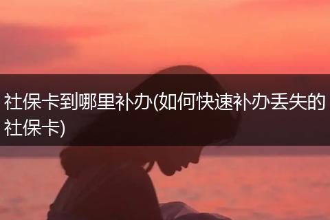 社保卡到哪里补办(如何快速补办丢失的社保卡)