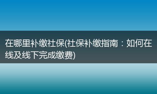 在哪里补缴社保(社保补缴指南：如何在线及线下完成缴费)