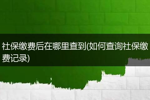 社保缴费后在哪里查到(如何查询社保缴费记录)