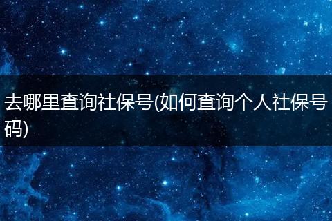 去哪里查询社保号(如何查询个人社保号码)