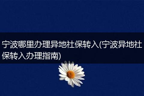 宁波哪里办理异地社保转入(宁波异地社保转入办理指南)
