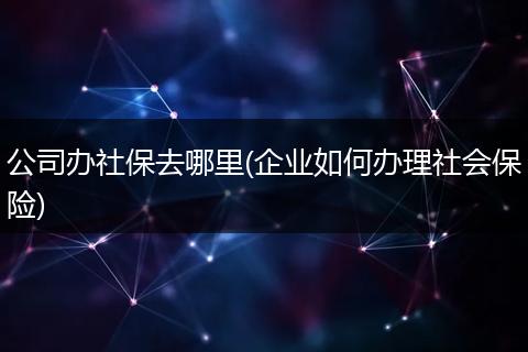 公司办社保去哪里(企业如何办理社会保险)