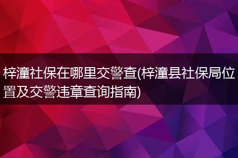 梓潼社保在哪里交警查(梓潼县社保局位置及交警违章查询指南)