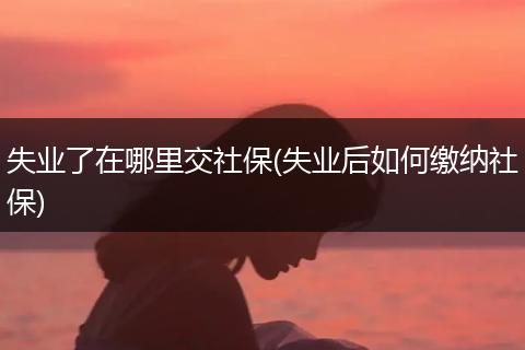 失业了在哪里交社保(失业后如何缴纳社保)