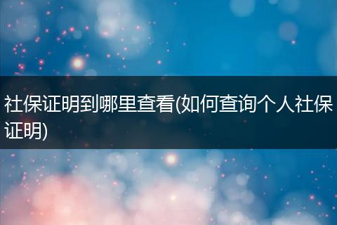 社保证明到哪里查看(如何查询个人社保证明)