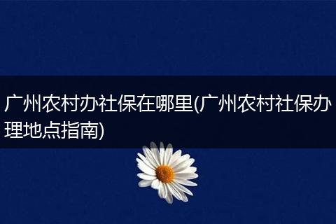 广州农村办社保在哪里(广州农村社保办理地点指南)