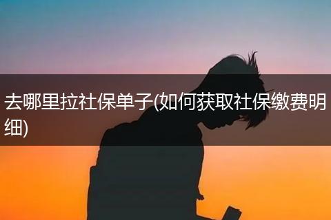 去哪里拉社保单子(如何获取社保缴费明细)