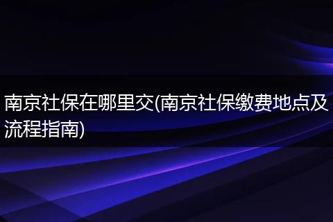 南京社保在哪里交(南京社保缴费地点及流程指南)