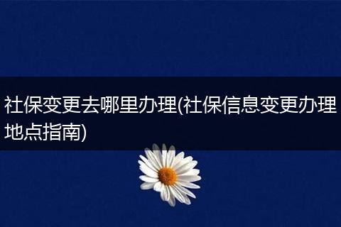 社保变更去哪里办理(社保信息变更办理地点指南)
