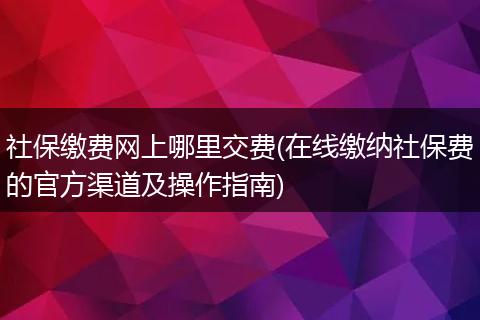 社保缴费网上哪里交费(在线缴纳社保费的官方渠道及操作指南)