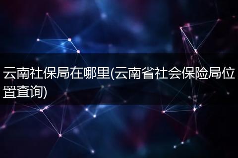 云南社保局在哪里(云南省社会保险局位置查询)