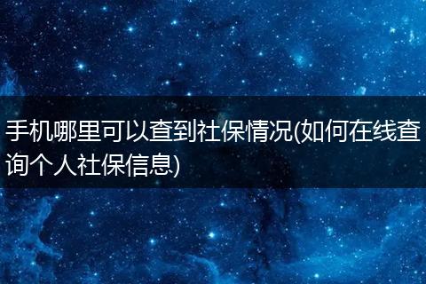 手机哪里可以查到社保情况(如何在线查询个人社保信息)
