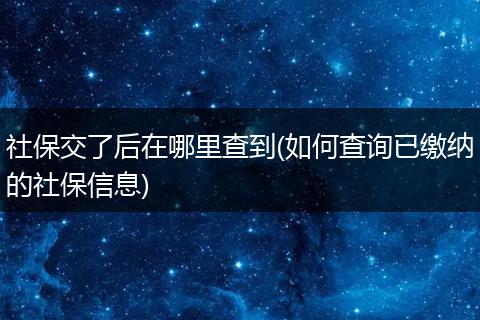 社保交了后在哪里查到(如何查询已缴纳的社保信息)