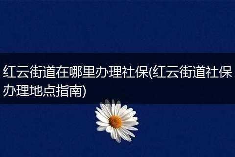 红云街道在哪里办理社保(红云街道社保办理地点指南)