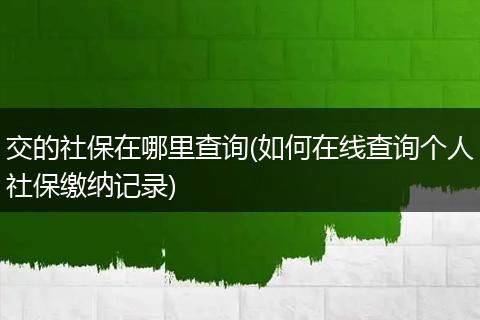 交的社保在哪里查询(如何在线查询个人社保缴纳记录)