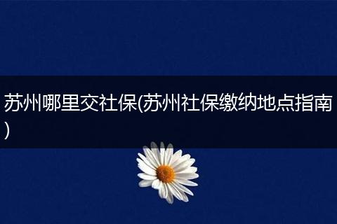 苏州哪里交社保(苏州社保缴纳地点指南)
