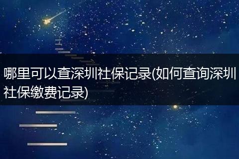 哪里可以查深圳社保记录(如何查询深圳社保缴费记录)