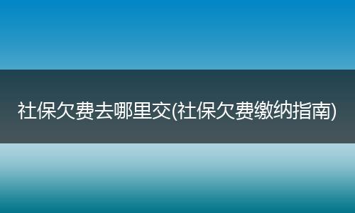社保欠费去哪里交(社保欠费缴纳指南)
